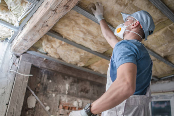 Insulation Contractors for Homes in Holt, MI